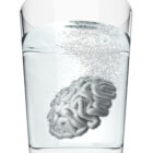 The Healthy Brain Program Part 1: A Glass of Water